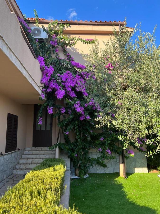 Apartment House Barbara Kornic